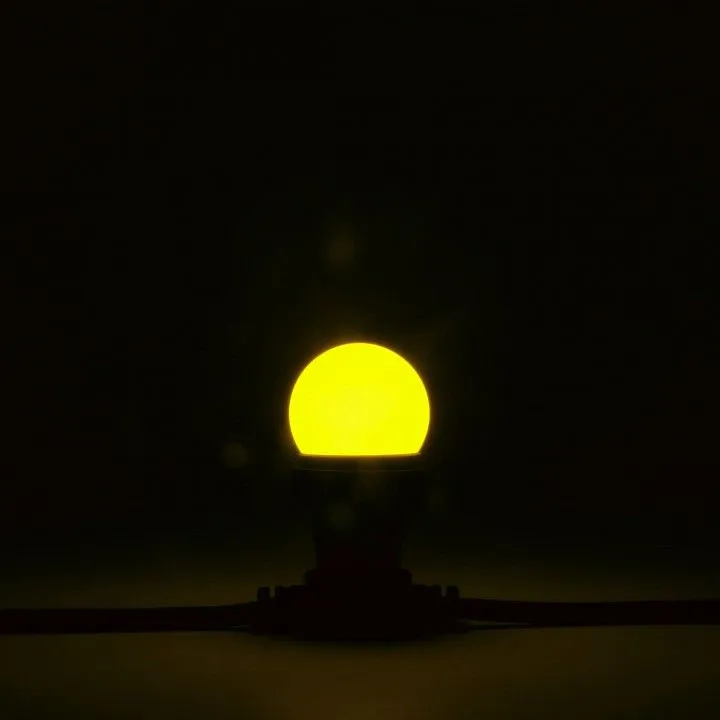 Лампа светодиодная PROFESSIONAL E27 220В 2Вт LAMP1-2Y
