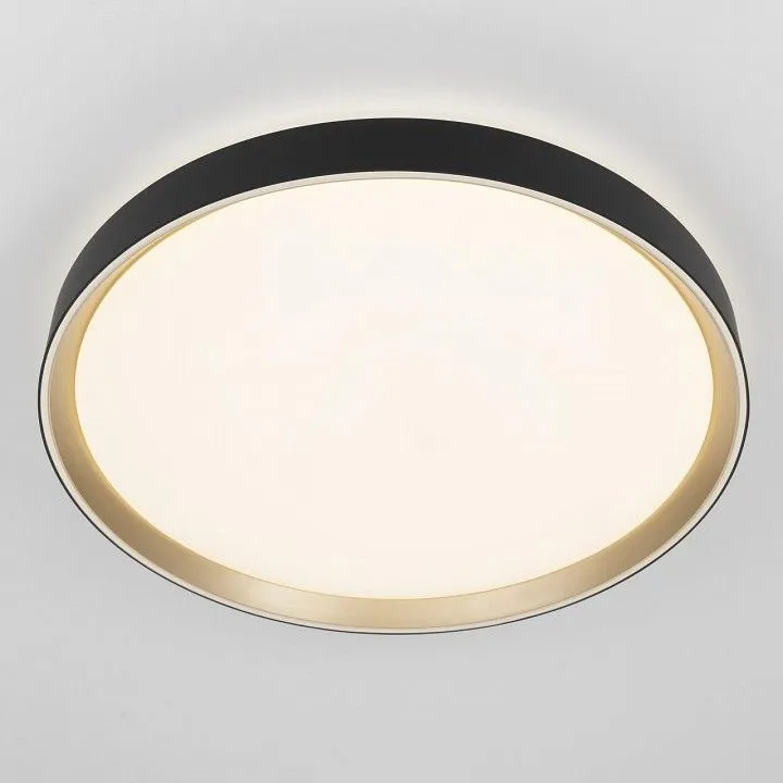 Накладной светильник Citilux BOSS CL751451G