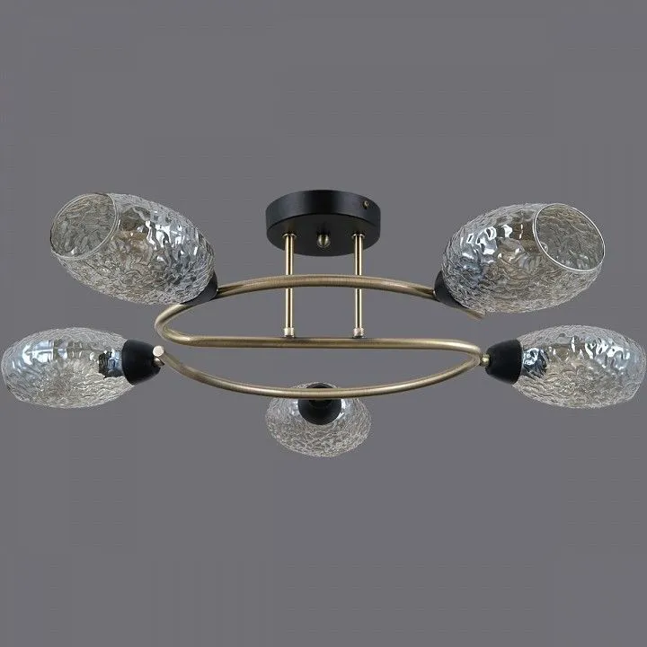 Потолочная люстра ILLUMICO  IL0300-5CSQ-79 BK AB
