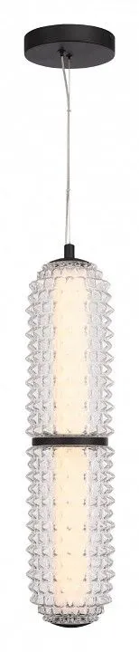 Подвесной светильник ST-Luce SAGUARO SL6144.403.01
