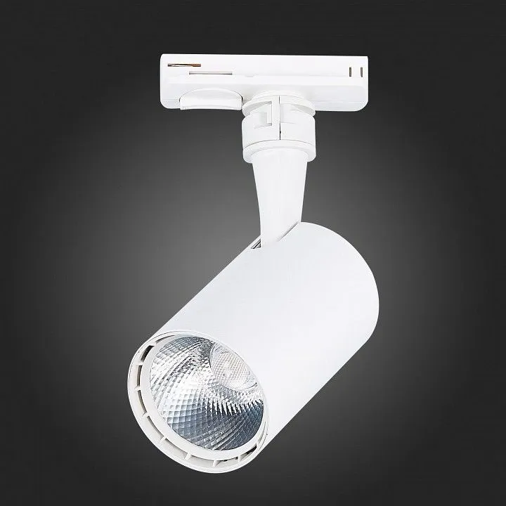 Светильник на штанге ST-Luce Cami ST351.536.10.24