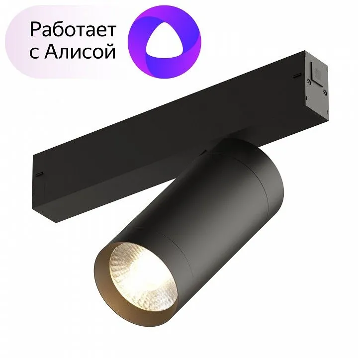 Светильник на штанге Denkirs Dk80 DK8020-BK Светильник на штанге Denkirs Dk80 DK8020-BK