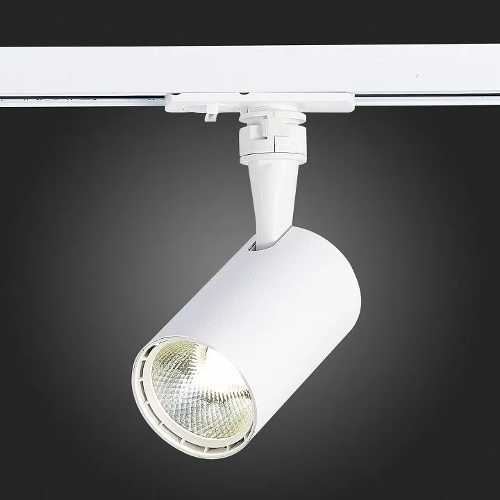 Светильник на штанге ST-Luce Cami ST351.536.10.24