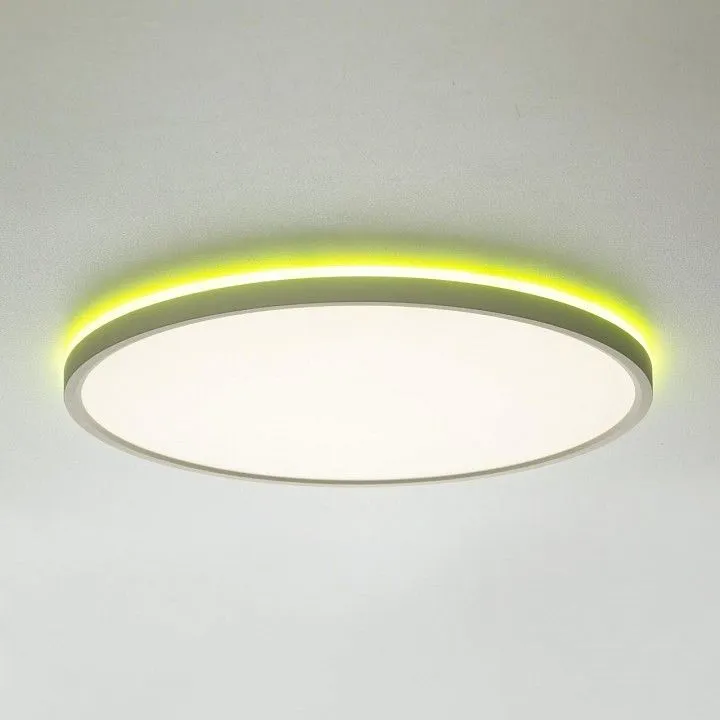 Накладной светильник Citilux NORMA CL749400