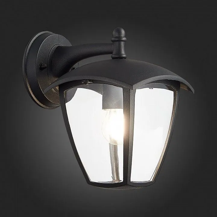 Светильник на штанге ST-Luce Sivino SL081.411.01
