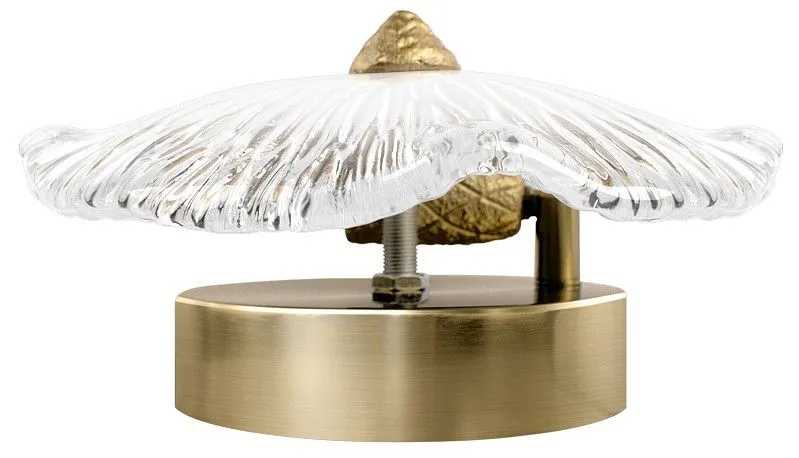 Накладной светильник Loft it Bloom 10352W/A AB