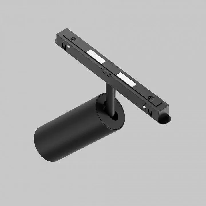 Светильник на штанге Maytoni Technical Фокус TR032-2-12W2.7K-M-B
