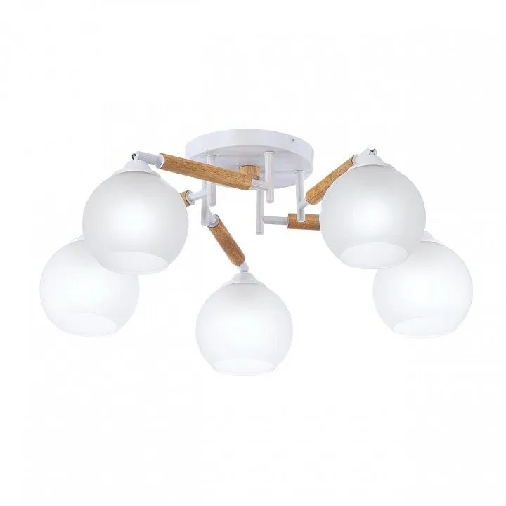 Потолочная люстра Citilux Tika CL133150