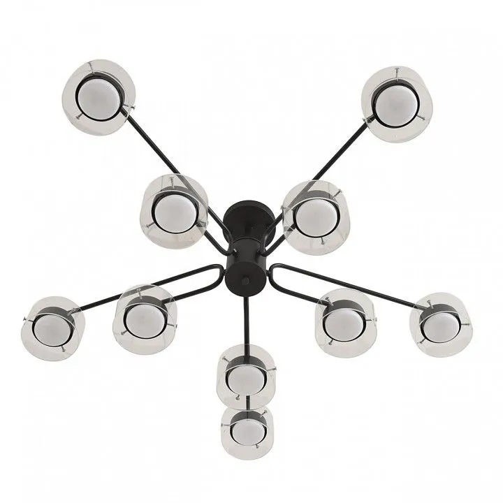 Люстра на штанге Lumion NATALINA 8349/10C
