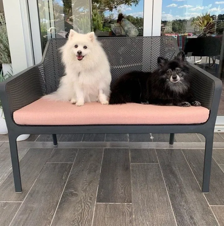 Диван Net Bench