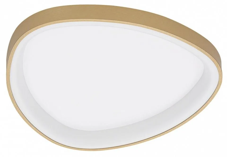 Накладной светильник Citilux GENKA SMART CL756A142