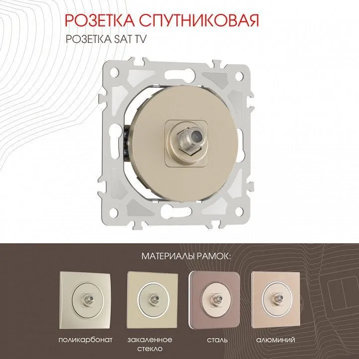 ТВ-розетка без рамки Arte Milano am-202 202.42-1.shampan
