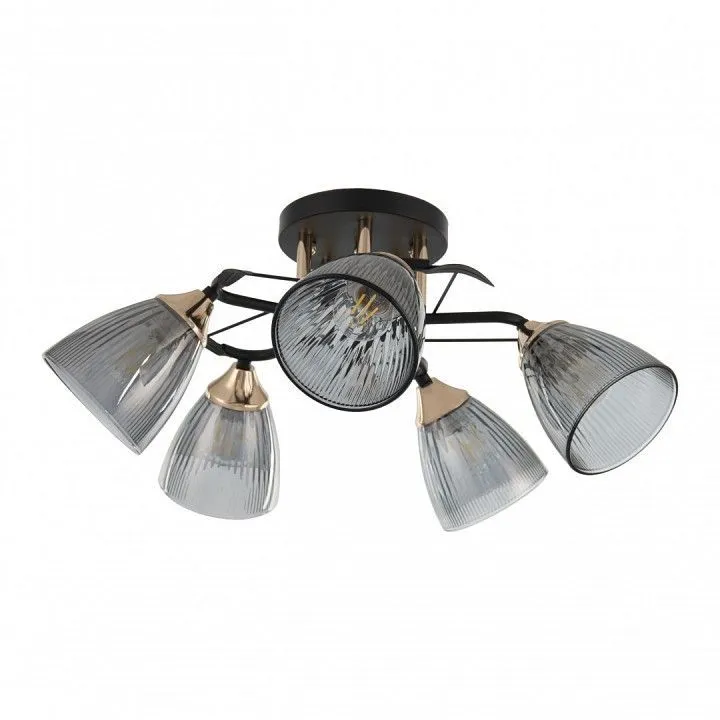 Потолочная люстра Arte Milano AMALFI-322610 322610/5 BK+FG