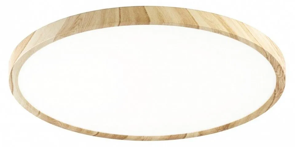 Накладной светильник Citilux Бейсик CL738322V