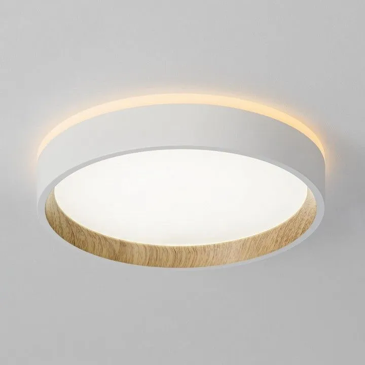 Накладной светильник Citilux Etalon CL750180