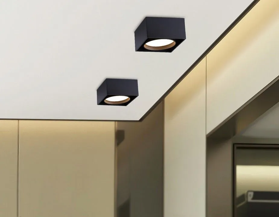 Накладной светильник Ambrella Light TN TN70866