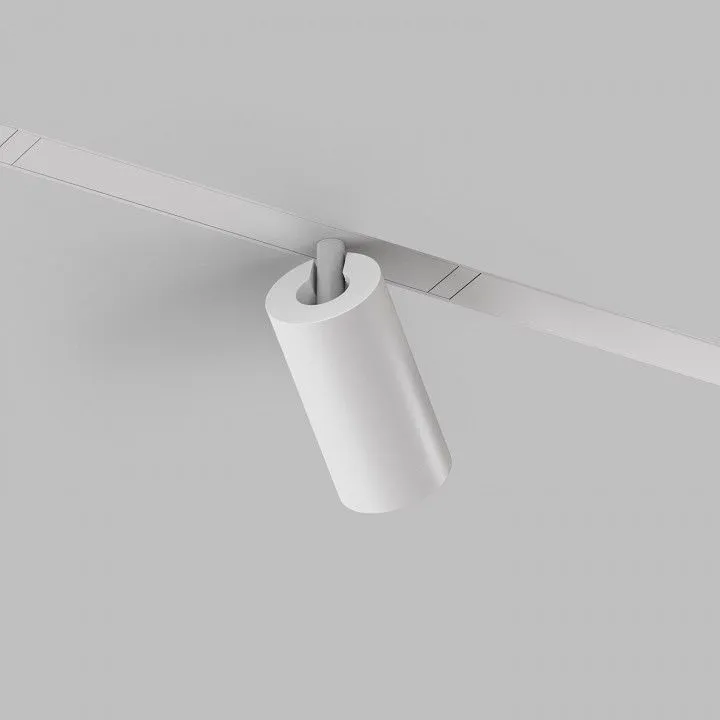 Светильник на штанге Denkirs Smart DK8010-WH