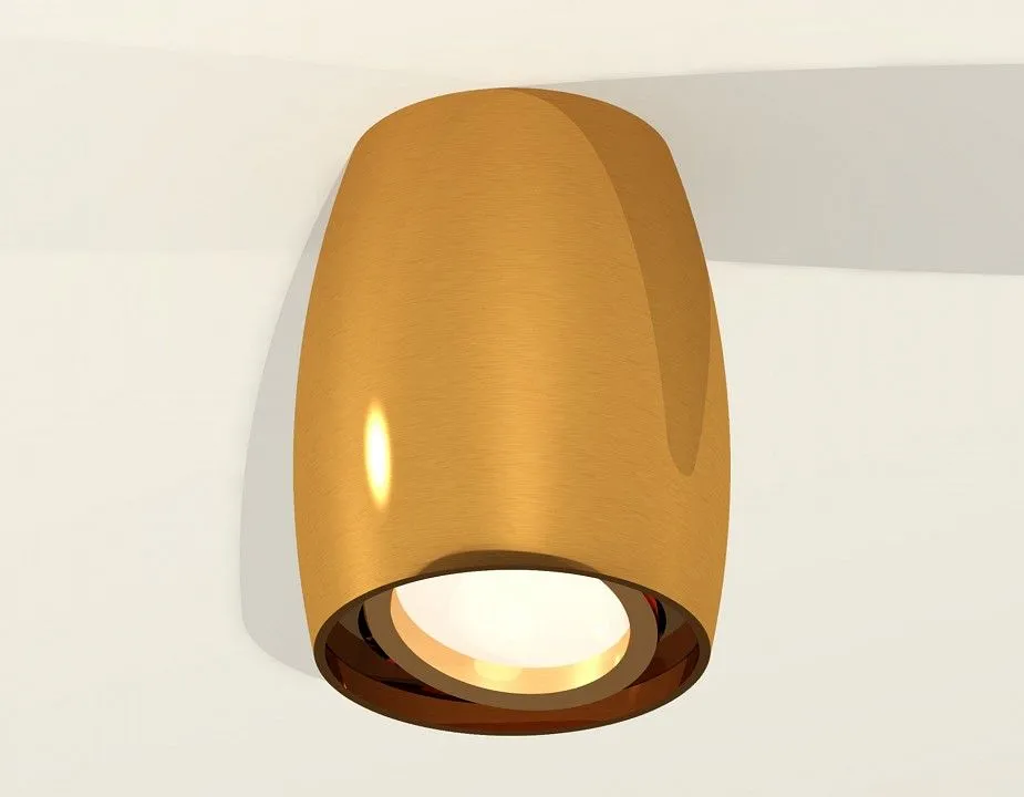 Накладной светильник Ambrella Light XS XS1125001