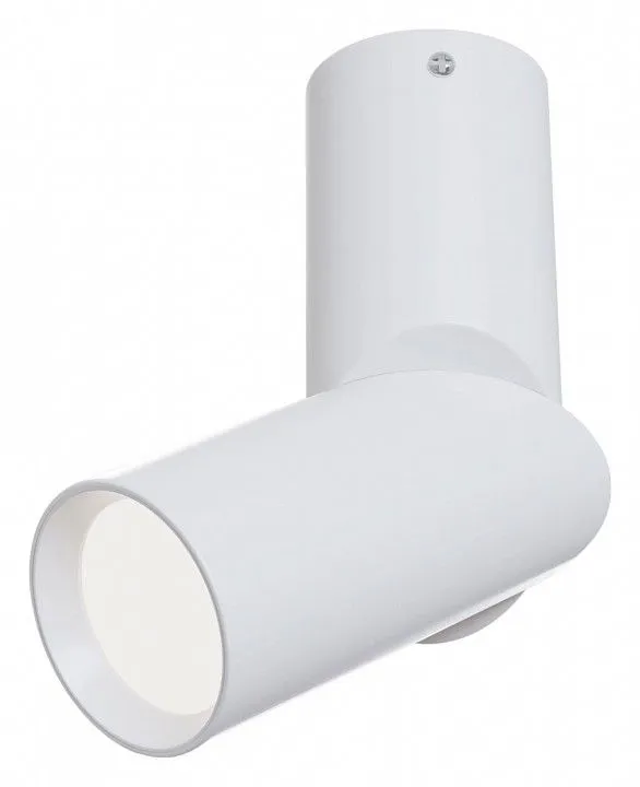 Спот Maytoni Technical Дафна C027CL-L10W