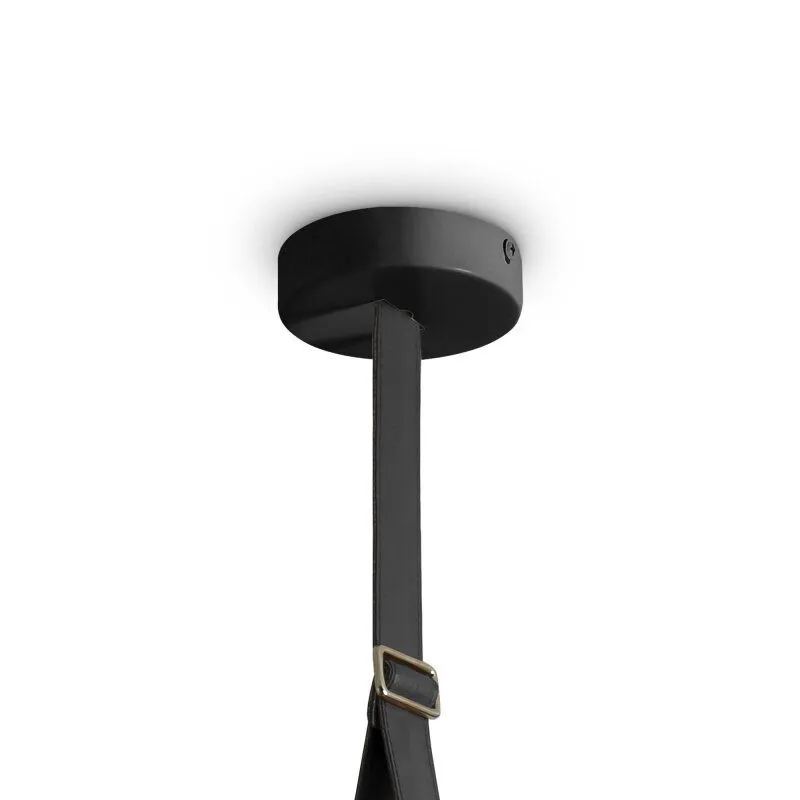 Подвесной светильник Freya Aurum FR5471PL-L12B