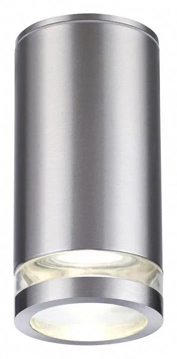 Накладной светильник Odeon Light Motto 6604/1C