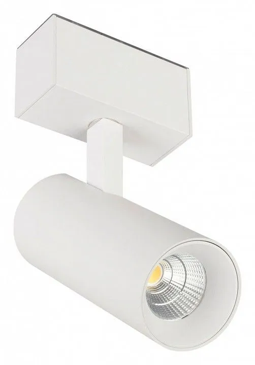 Светильник на штанге Arlight MAG-45 046590