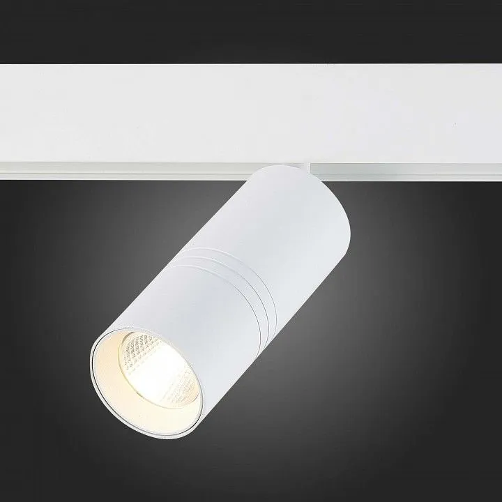 Светильник на штанге ST-Luce Lemmi ST365.536.18