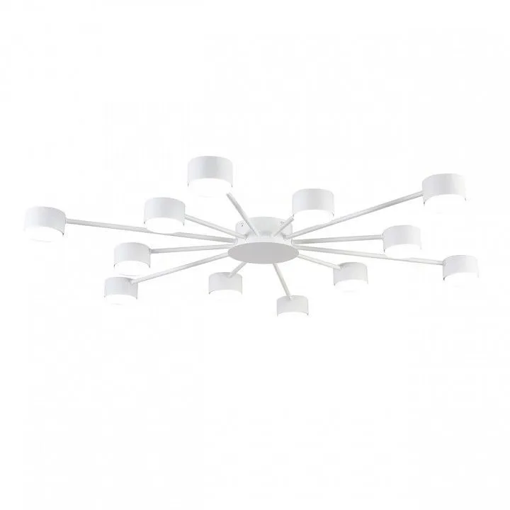 Потолочная люстра Lumion TORINA 8343/12C