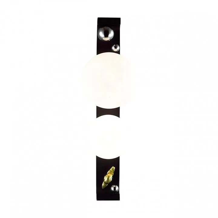 Накладной светильник Odeon Light NATURE 5434/2W