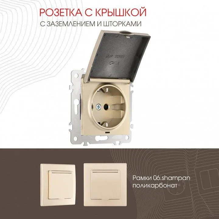 Розетка влагозащищенная с заземлением и со шторкой с крышкой Arte Milano am-206 206.41-1.shampan