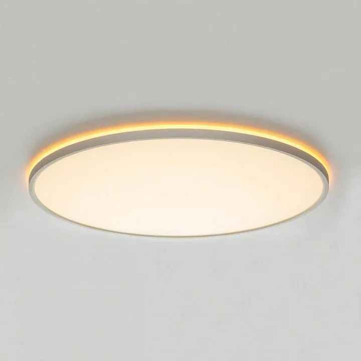 Накладной светильник Citilux NORMA CL749600