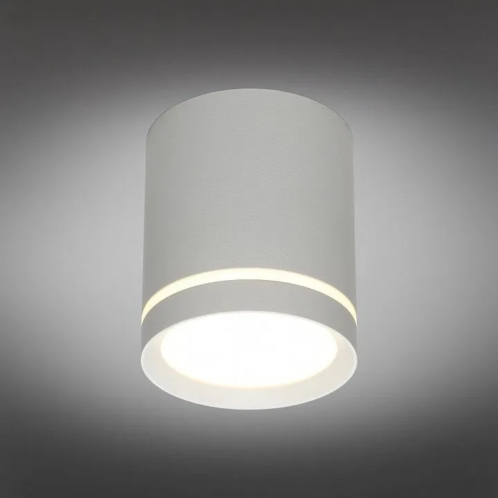 Накладной светильник Omnilux Capurso OML-102429-05