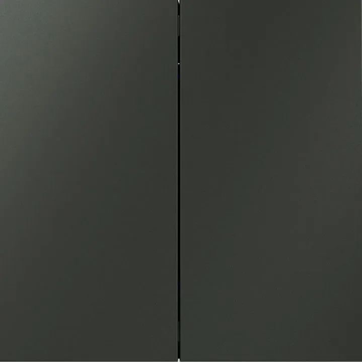 Выключатель двухклавишный без рамки Voltum S70 VLS020606