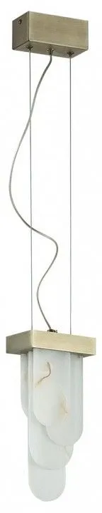 Подвесной светильник Odeon Light Foros 5437/12L