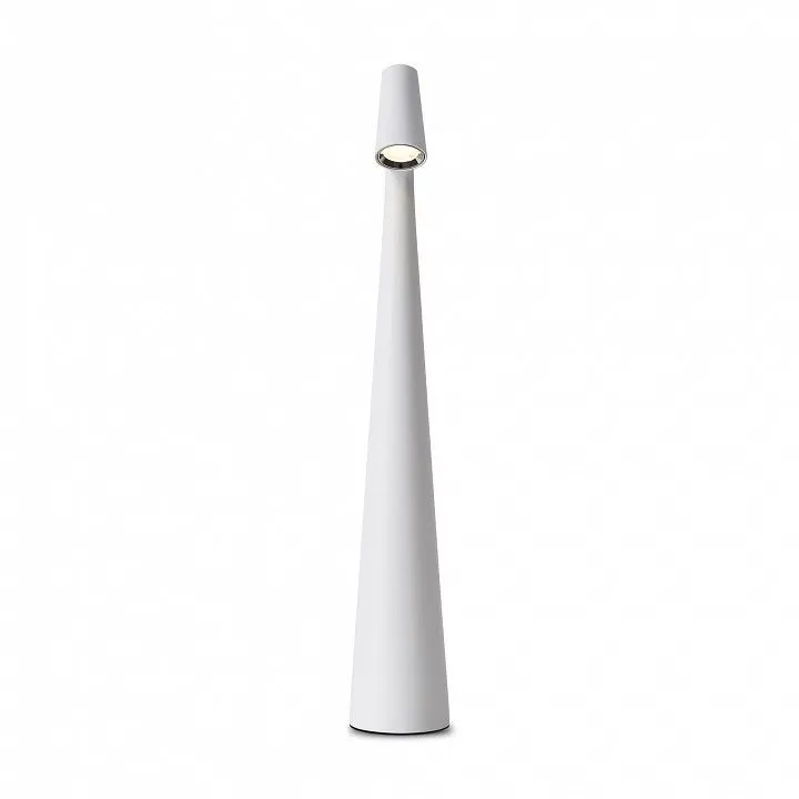 Настольная лампа декоративная Freya Ракушка FR6188TL-L3W