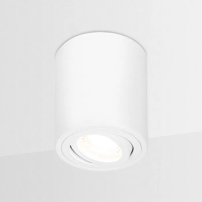 Накладной светильник Ambrella Light TN TN225