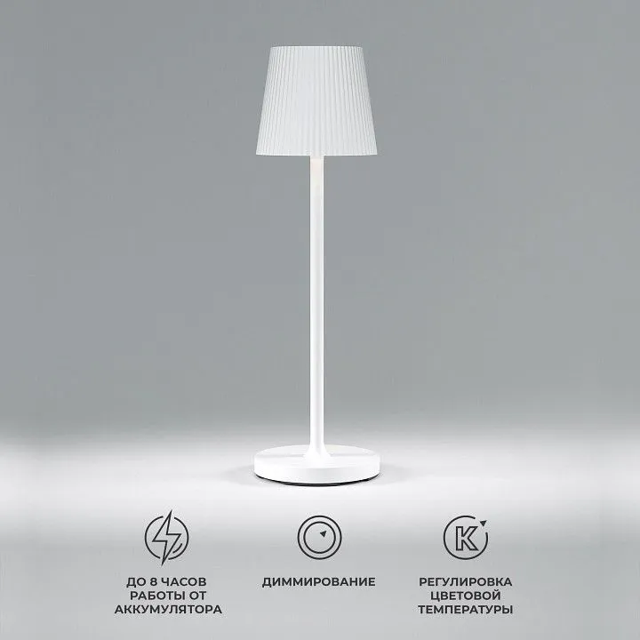 Настольная лампа декоративная Elektrostandard Mist a063928