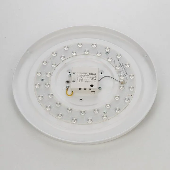 Накладной светильник Citilux BART CL755391