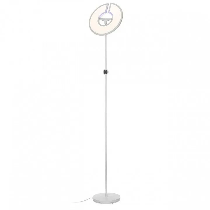 Торшер Citilux LOONG CL810030