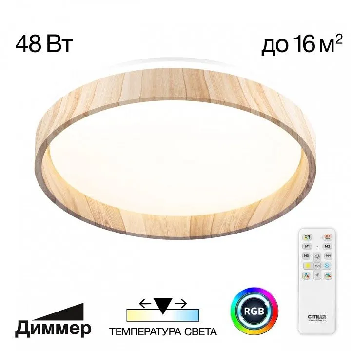 Накладной светильник Citilux ENZO CL753352G