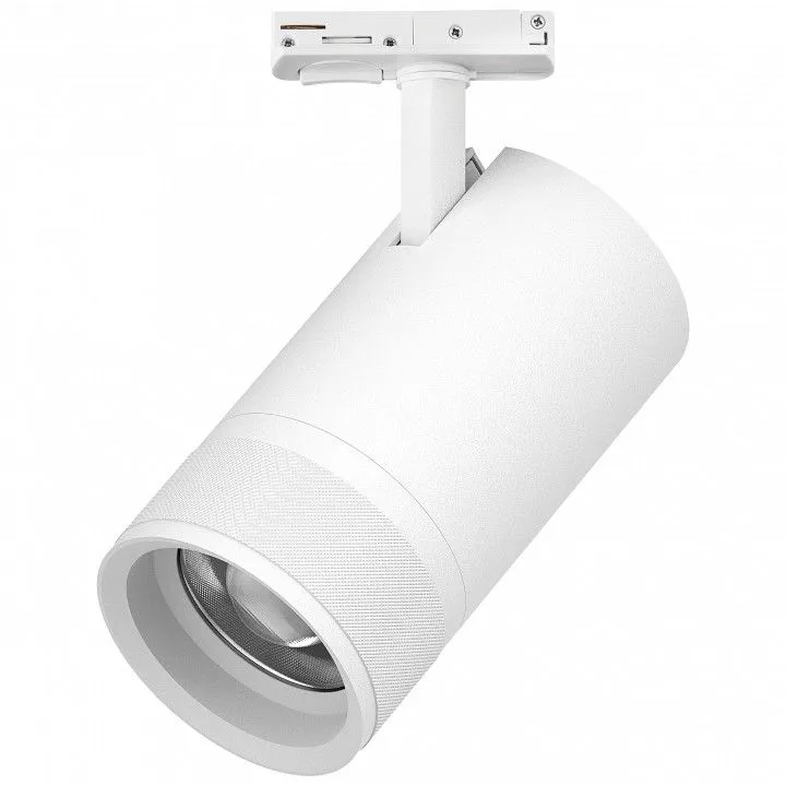 Светильник на штанге Lightstar Canno Pro C4406SS