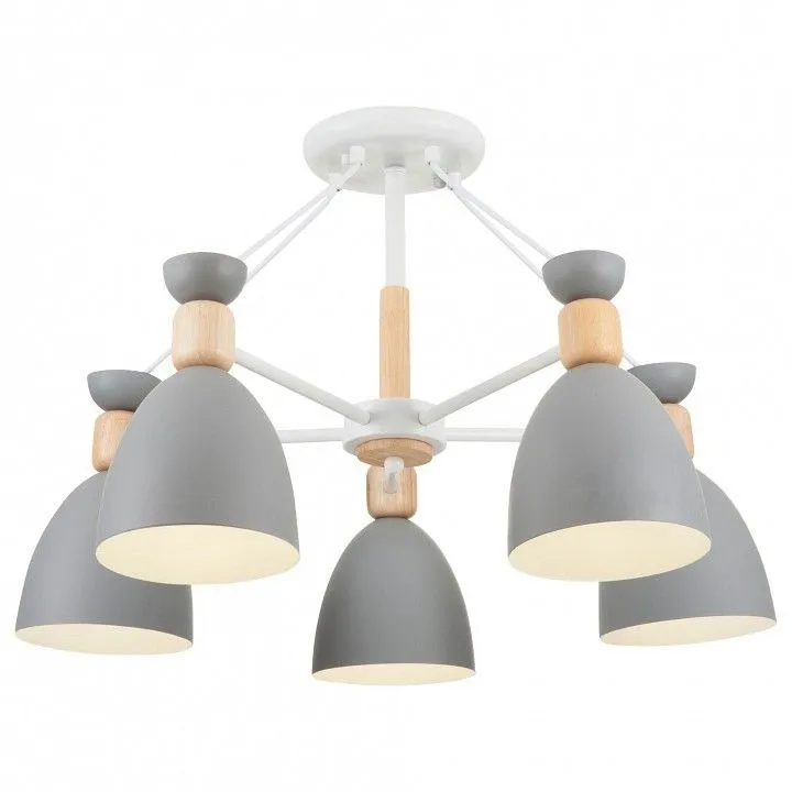 Люстра на штанге Freya Delia FR5033CL-05W