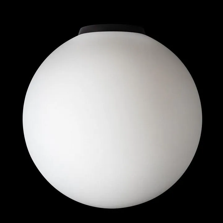 Накладной светильник Citilux RON CL941D25B5