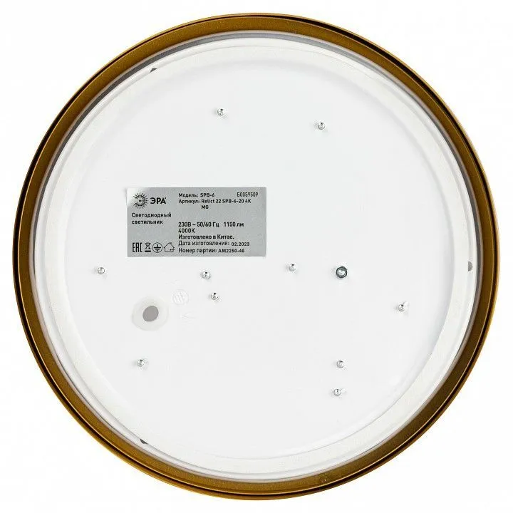 Накладной светильник Эра Relict Relict 22 SPB-6-20 4К MG
