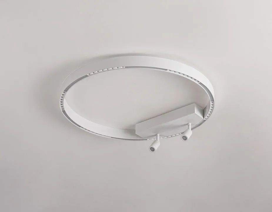 Накладной светильник Ambrella Light FL FL5807