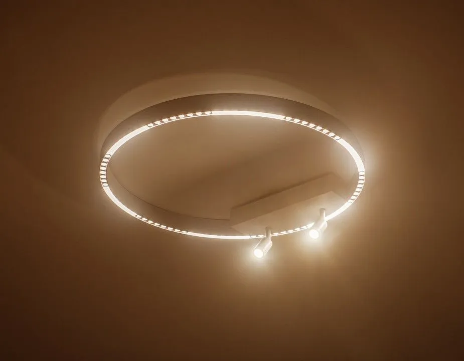 Накладной светильник Ambrella Light FL FL5807