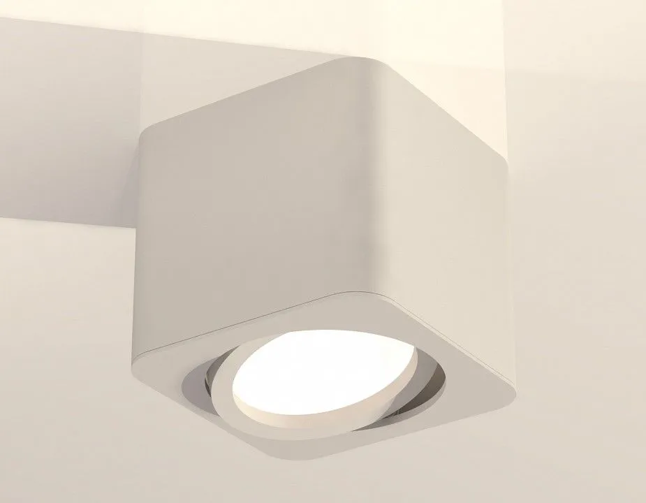 Накладной светильник Ambrella Light XS XS7805010