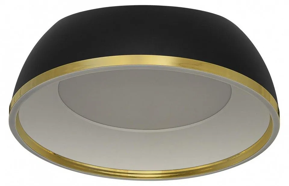Накладной светильник Citilux FLOOM CL736151