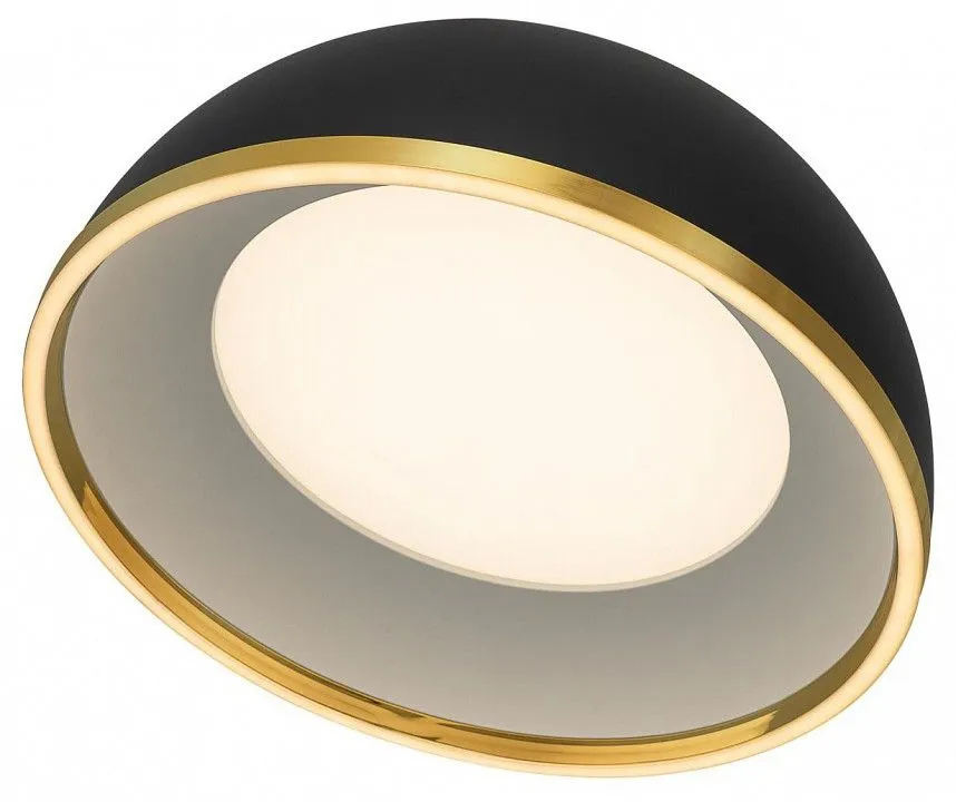 Накладной светильник Citilux FLOOM CL736151