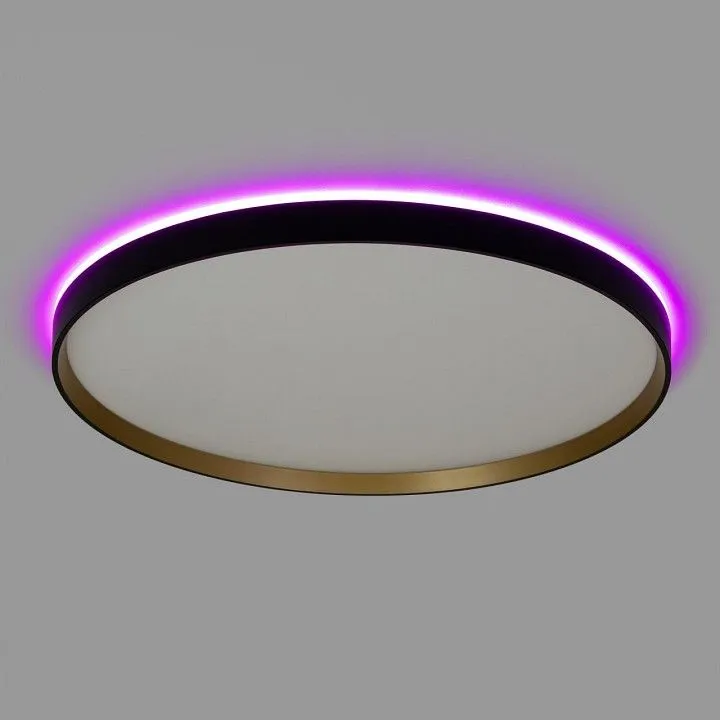 Накладной светильник Citilux ETALON CL750501R